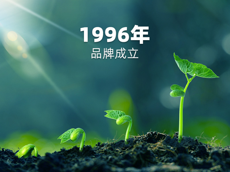 1996年品牌成立：PCB硬板制造征程，匠心传承！